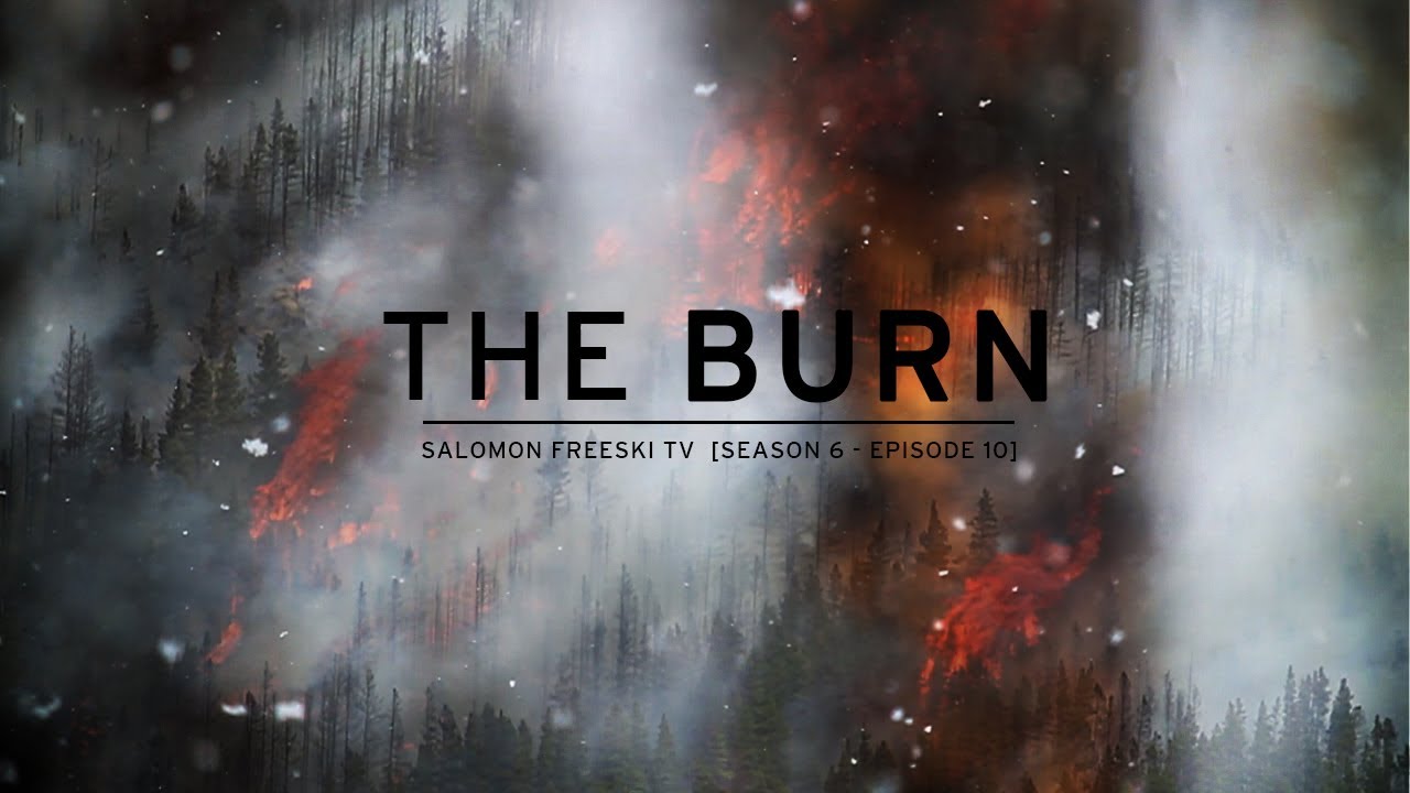 Silver Lining To Record Breaking Forest Fires